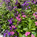 photo 287b7843