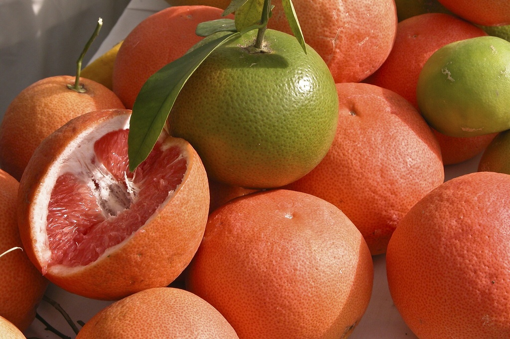 Citrus paradisi, Pomelo 'Star Ruby' (4475, C5)