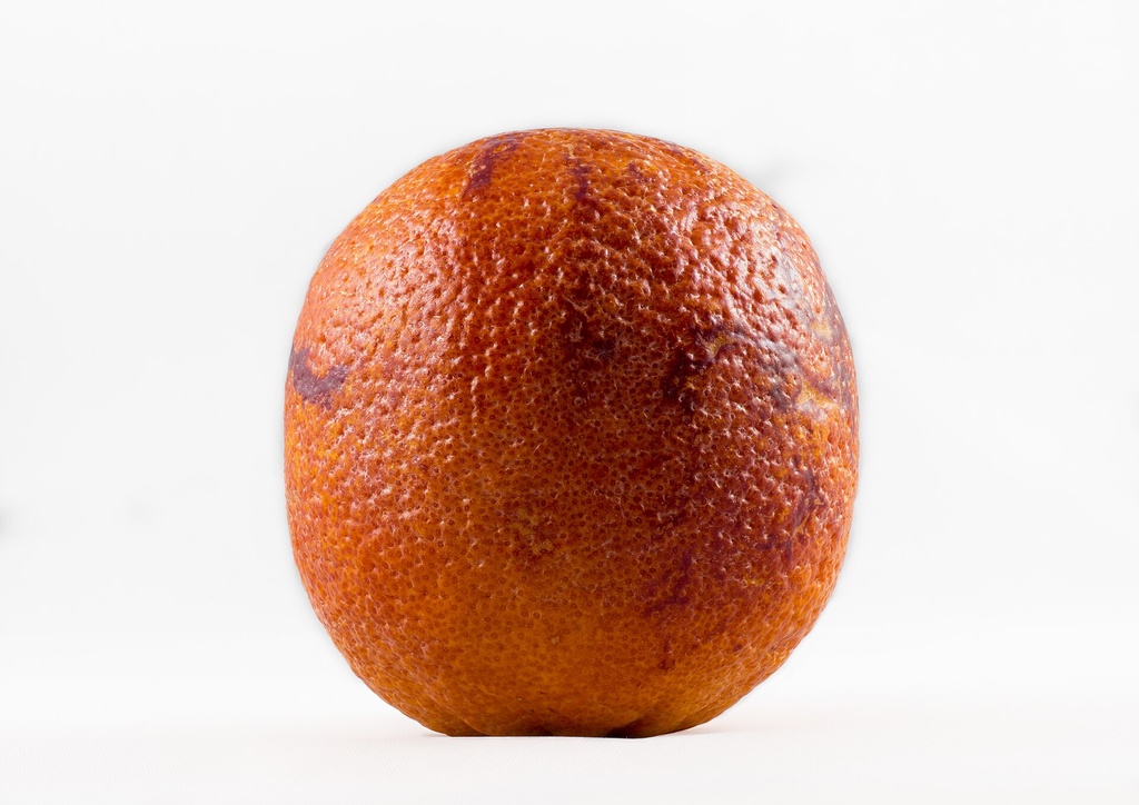 Citrus sinensis, Oranger sanguin 'Violette des Vallées'