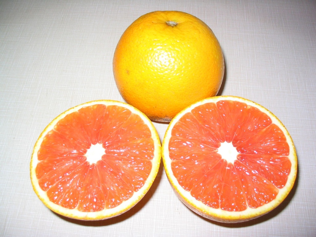 Citrus sinensis, Oranger 'Cara Cara' (4475, C3)