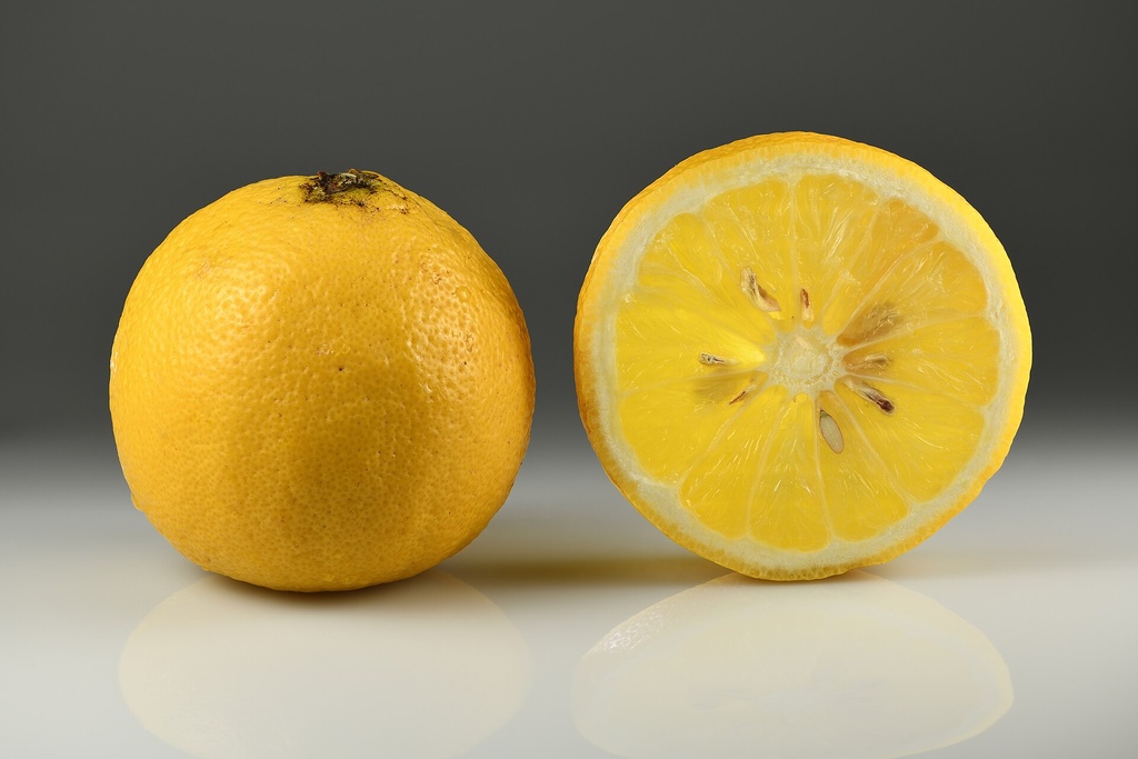 Citrus bergamia, Bergamotier