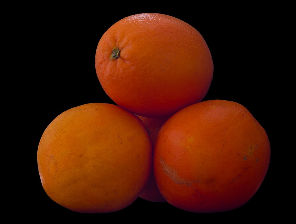 Citrus sinensis, Oranger 'Navelina' (4475, C3)