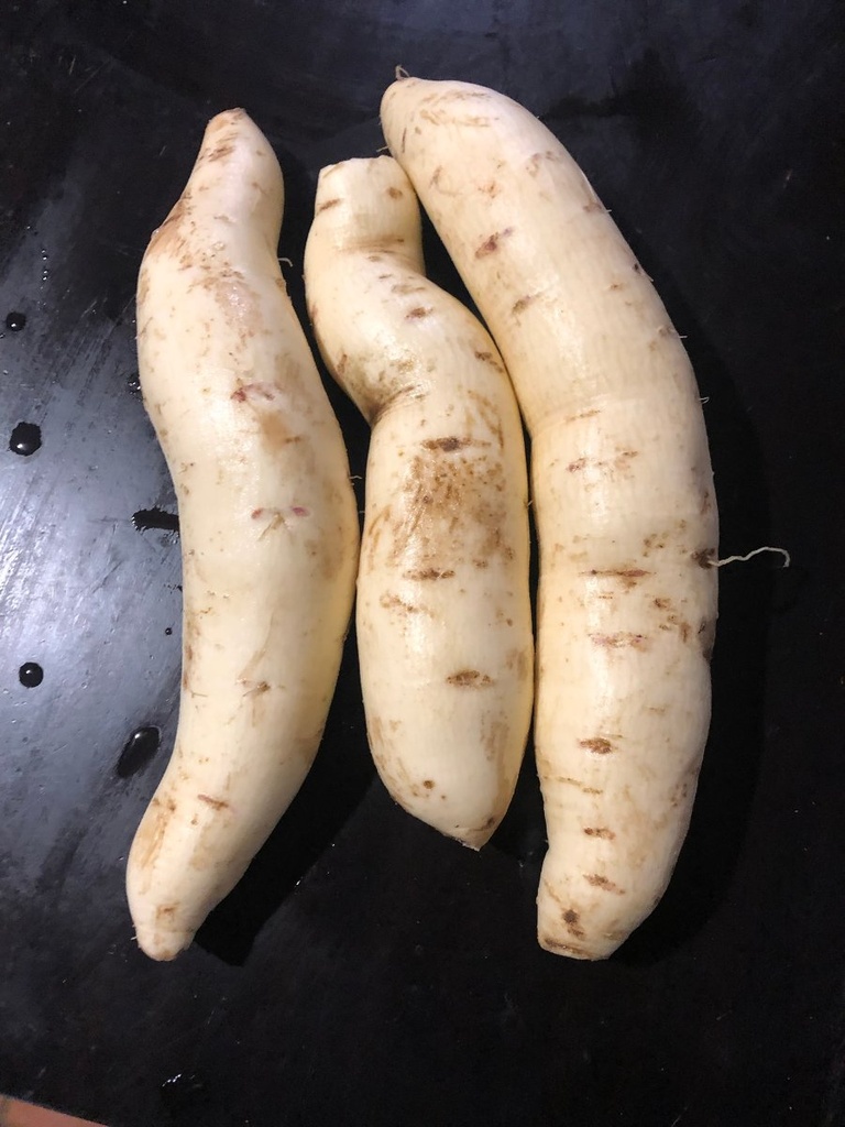 Patate douce blanche AB (F/L)