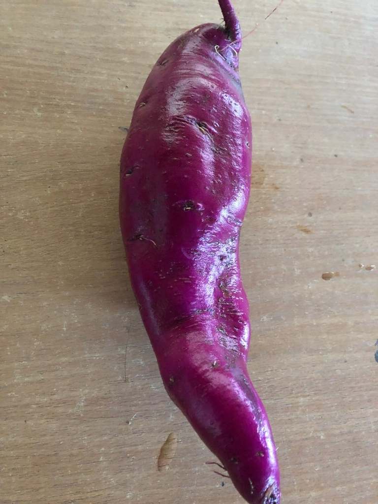 Patate douce violette AB (F/L)