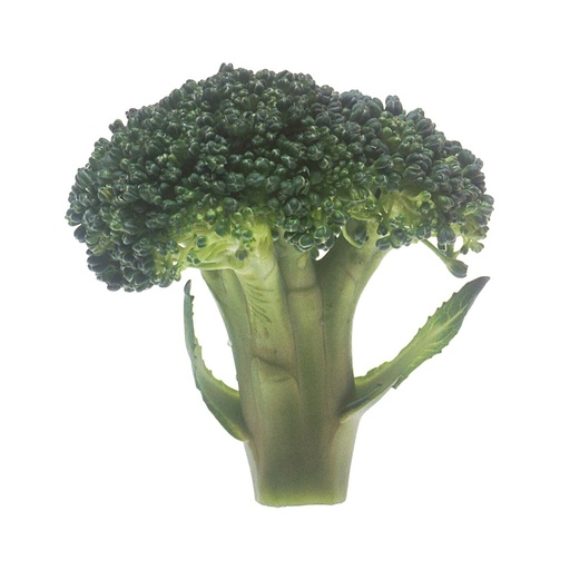 Brocoli AB (F/L)