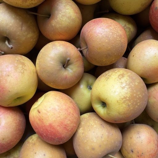 Pomme AB (F/L)