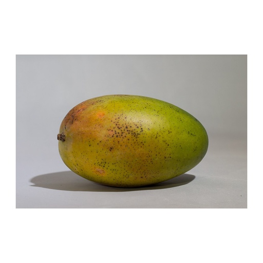 Mangue AB (F/L)